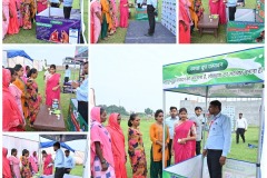 Agm2_gallry