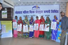 shwetdhara-gallery-7